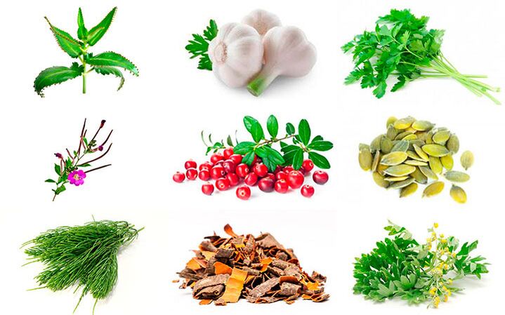 ľudové lieky na liečbu prostatitídy